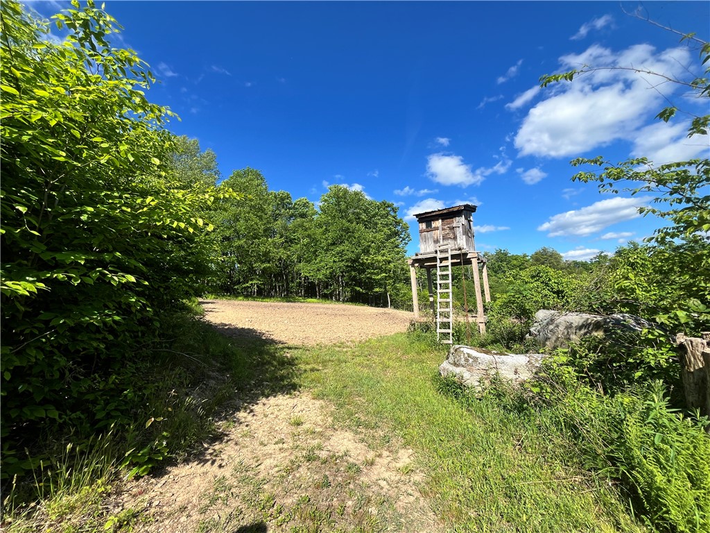 882 Alma Hill Road Alma, NY 14708 - Photo 36 of 46