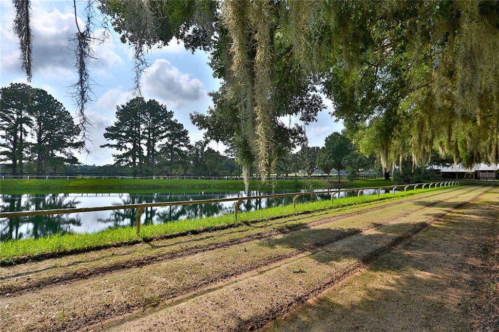 13450 Northwest Gainesville Road, Unit OPTION 2 Reddick, FL 32686 - Photo 29 of 70 Gallery Image 29