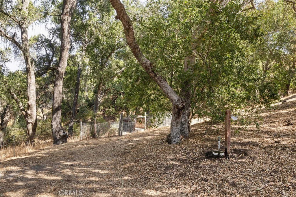 53121 Smith Road Bradley, CA 93426 - Photo 19 of 30