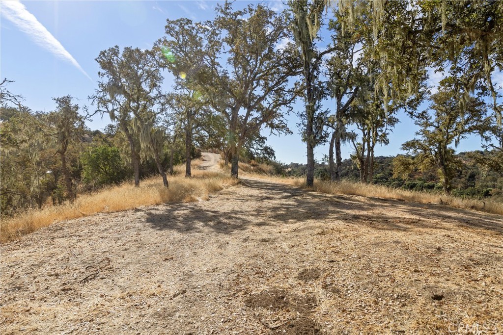 53121 Smith Road Bradley, CA 93426 - Photo 25 of 30