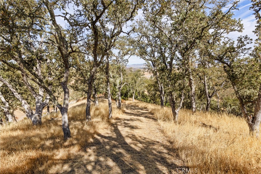 53121 Smith Road Bradley, CA 93426 - Photo 28 of 30