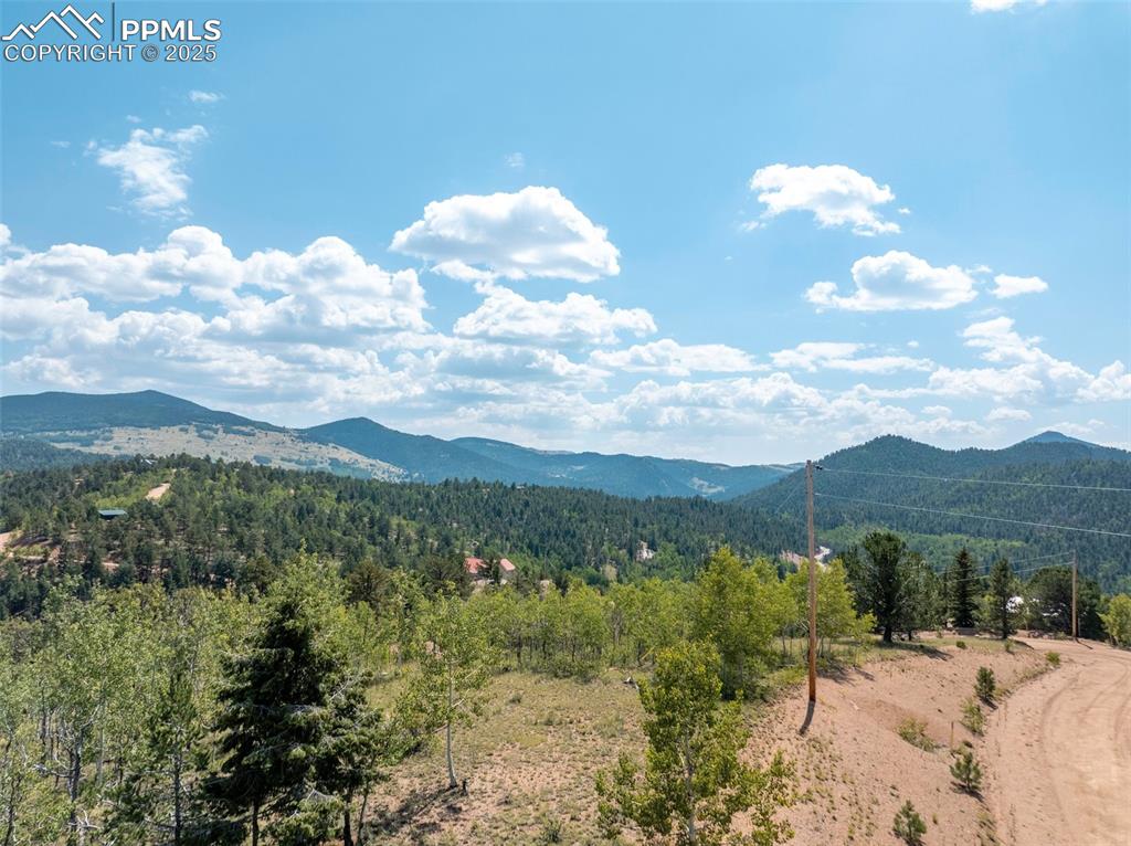 1151 Dandy Jim Drive Cripple Creek, CO 80813 - Photo 12 of 17 a view of a city with lush green forest