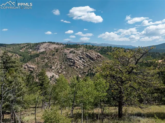 a view of a dry yard with trees in the background