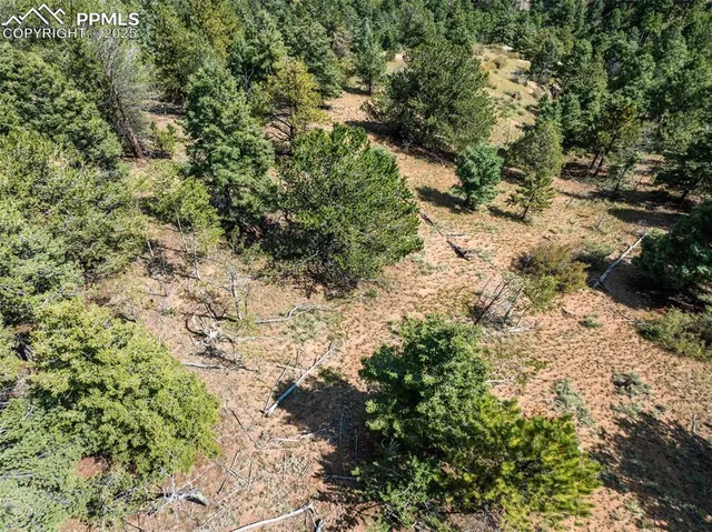 $25,000 | 1151 Dandy Jim Drive, Cripple Creek, CO 80813