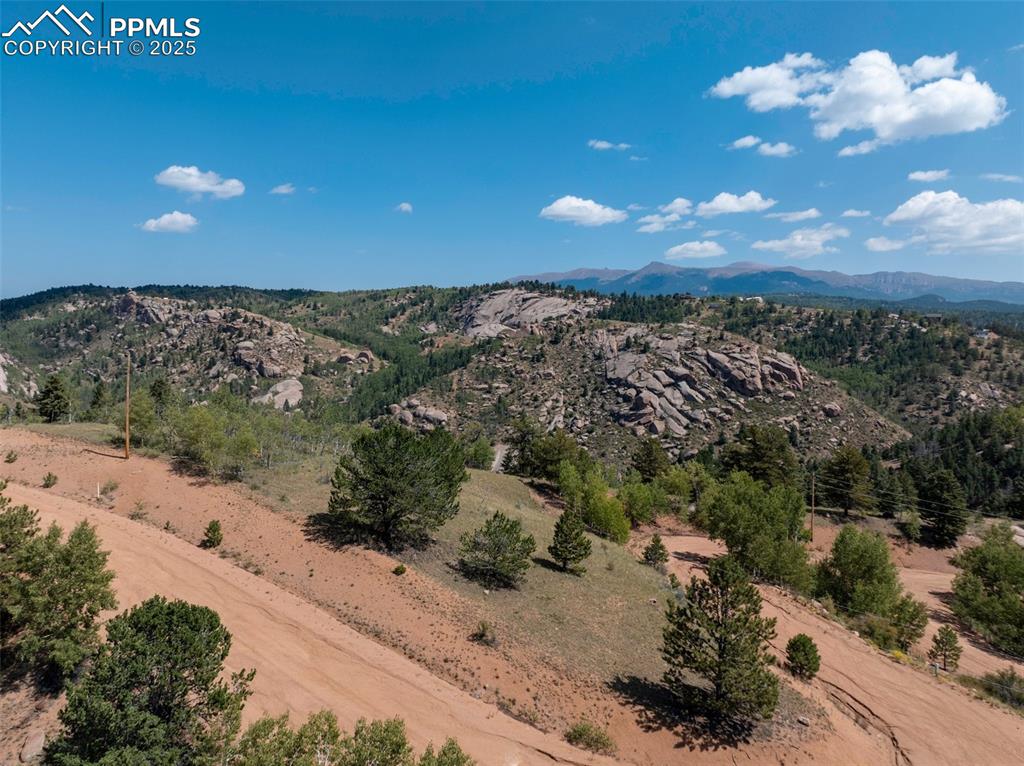 1151 Dandy Jim Drive Cripple Creek, CO 80813 - Photo 7 of 17 a view of a big yard with lots of green space