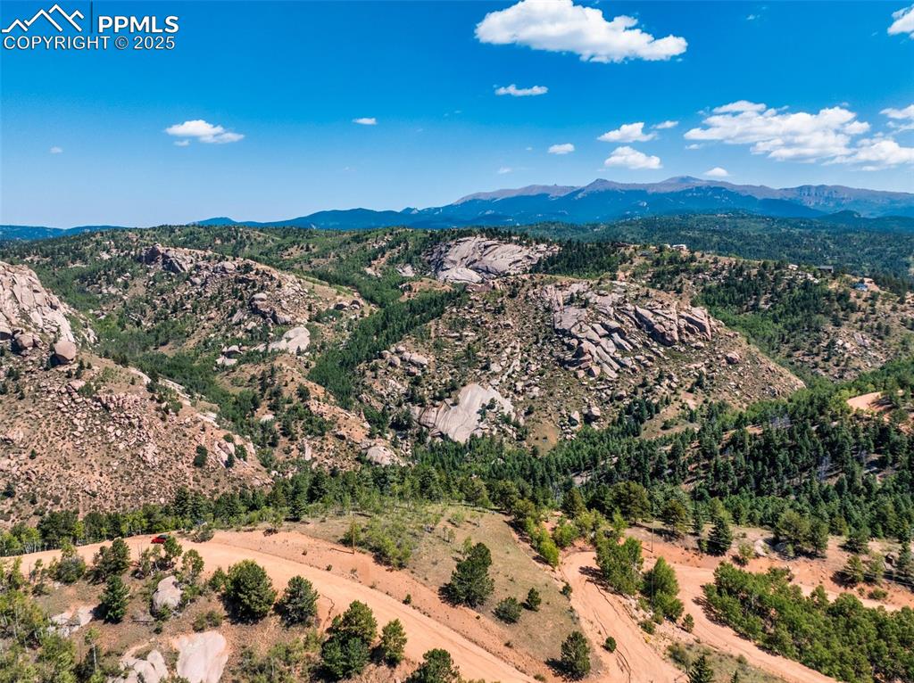 1151 Dandy Jim Drive Cripple Creek, CO 80813 - Photo 9 of 17