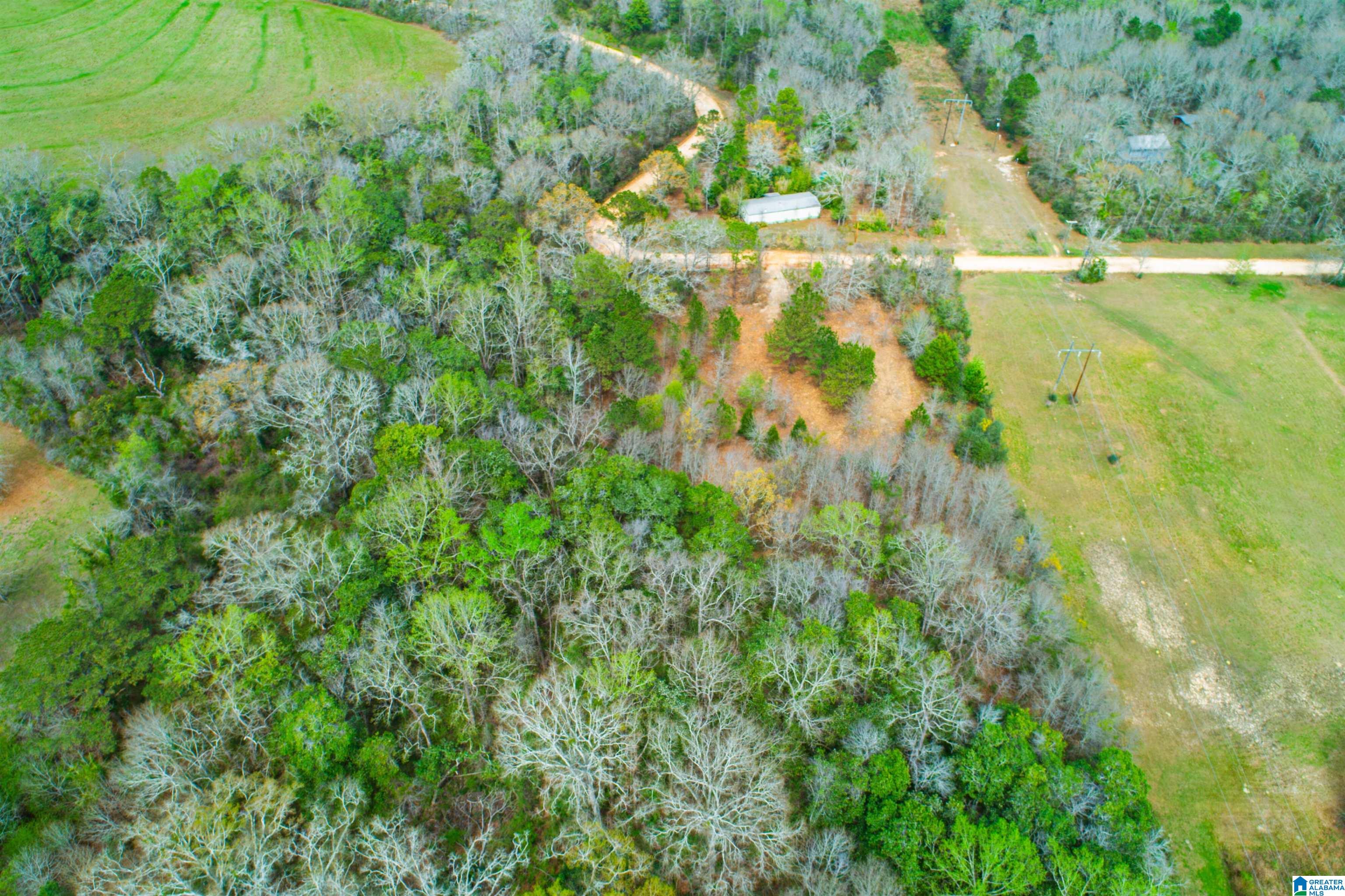 27180 Deer Run Road Opp, AL 36467 - Photo 18 of 60