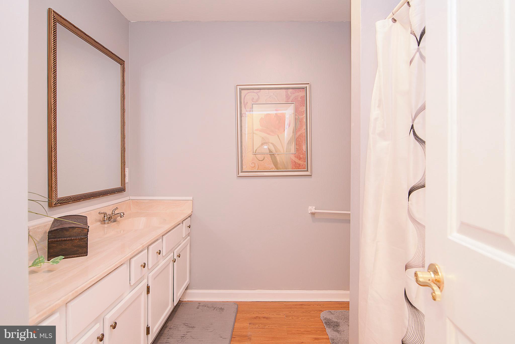 16055 Round Hill Road King George, VA 22485 - Photo 16 of 30 Bath (Master)