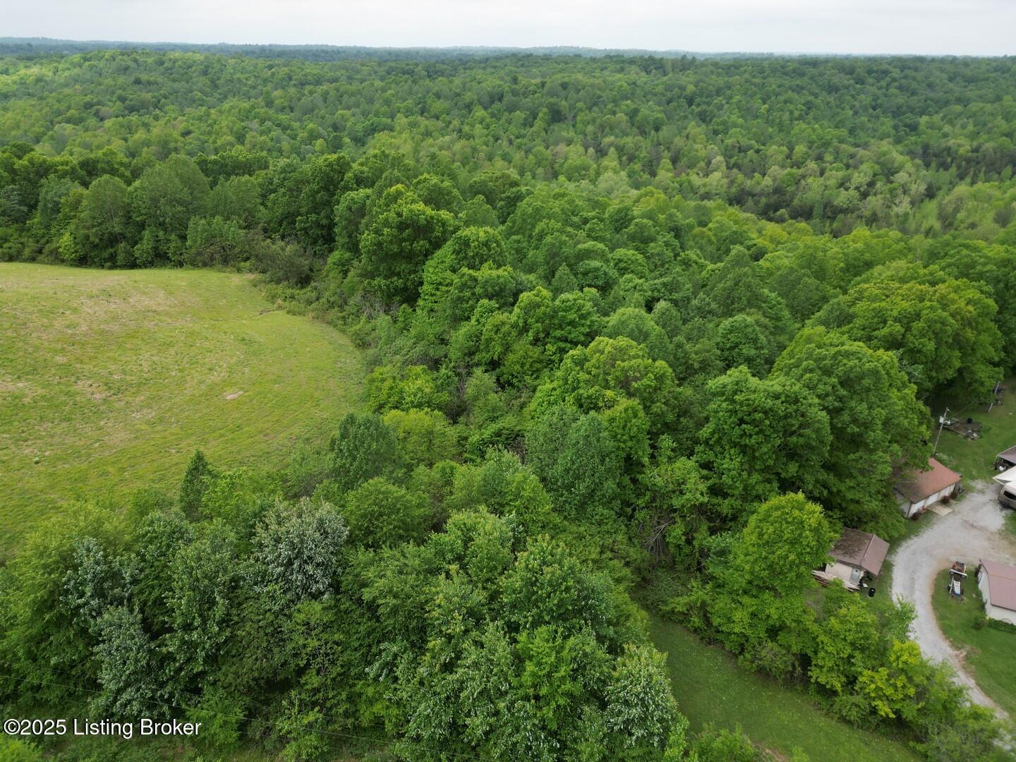 Lot 18 Duvall Road Caneyville, KY 42721 - Photo 6 of 6 L18-4