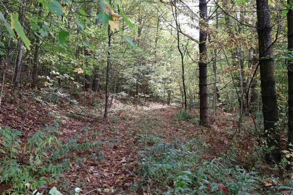 $239,000 | 0 Christian Street, White River Junction, VT 05001