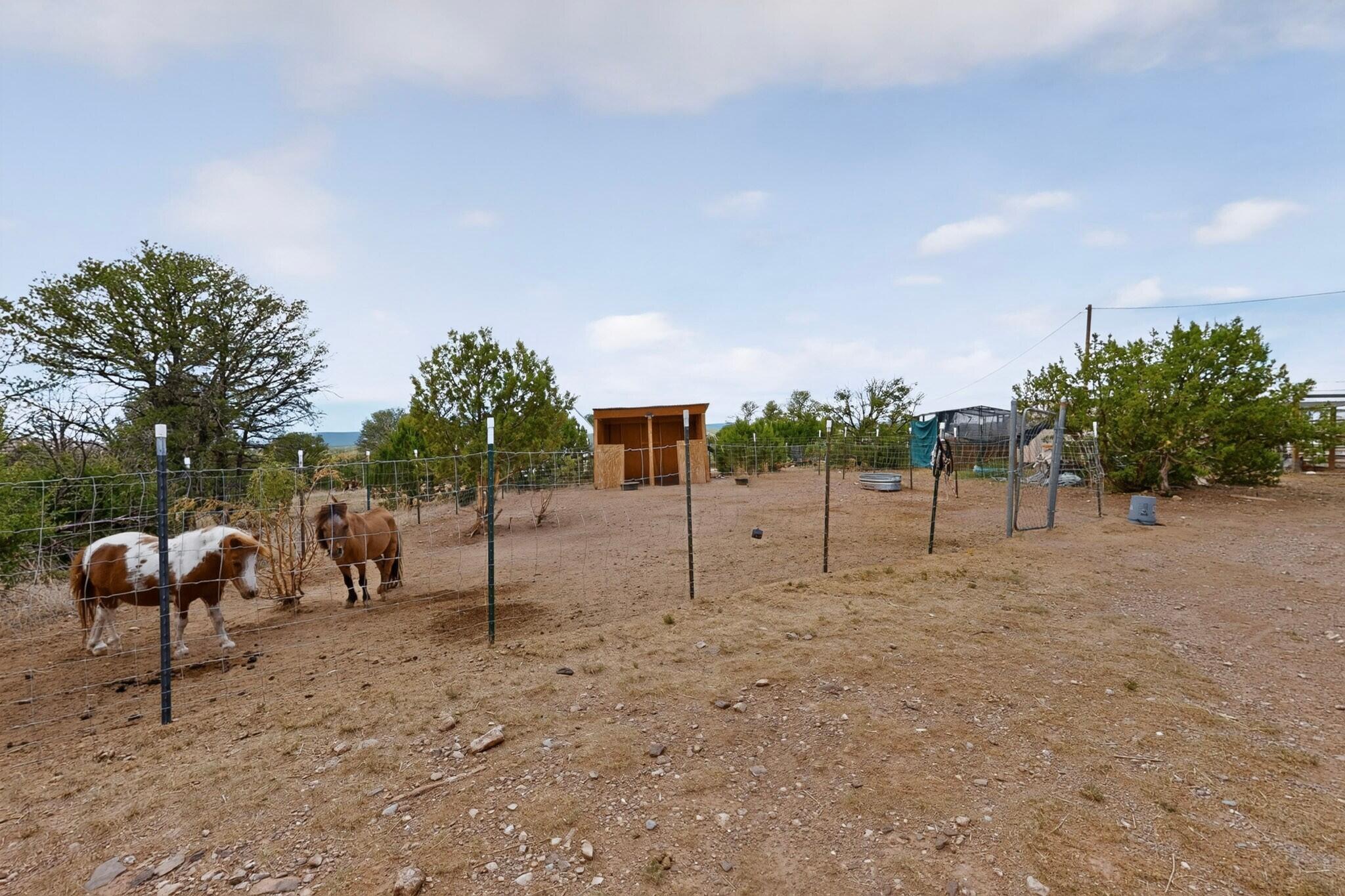 Flamigo Road Ribera, NM 87560 - Photo 45 of 56 Gallery Image 45