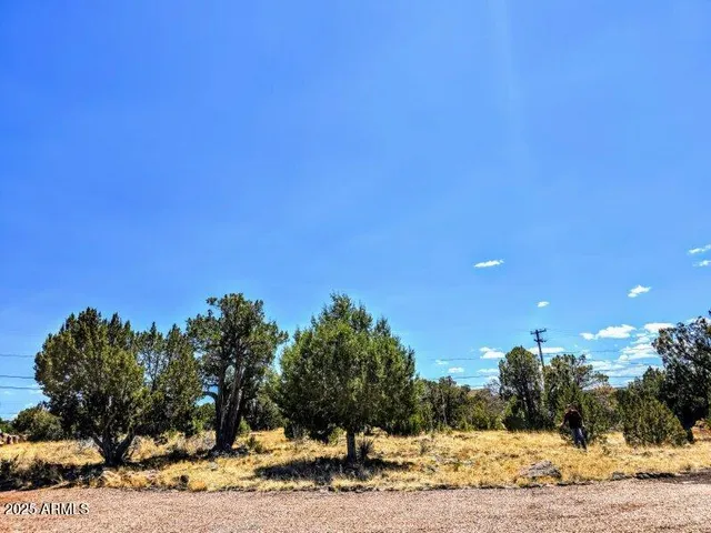 a view of a very nice looking yard