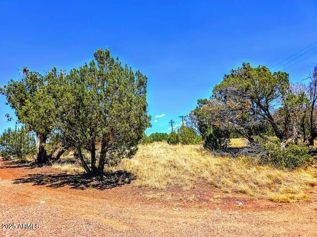 a view of a yard with a tree