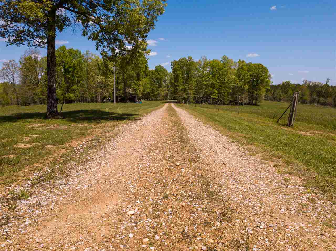 1571 Hubert Manul Road Michie, TN 38357 - Photo 22 of 25 Gallery Image 22
