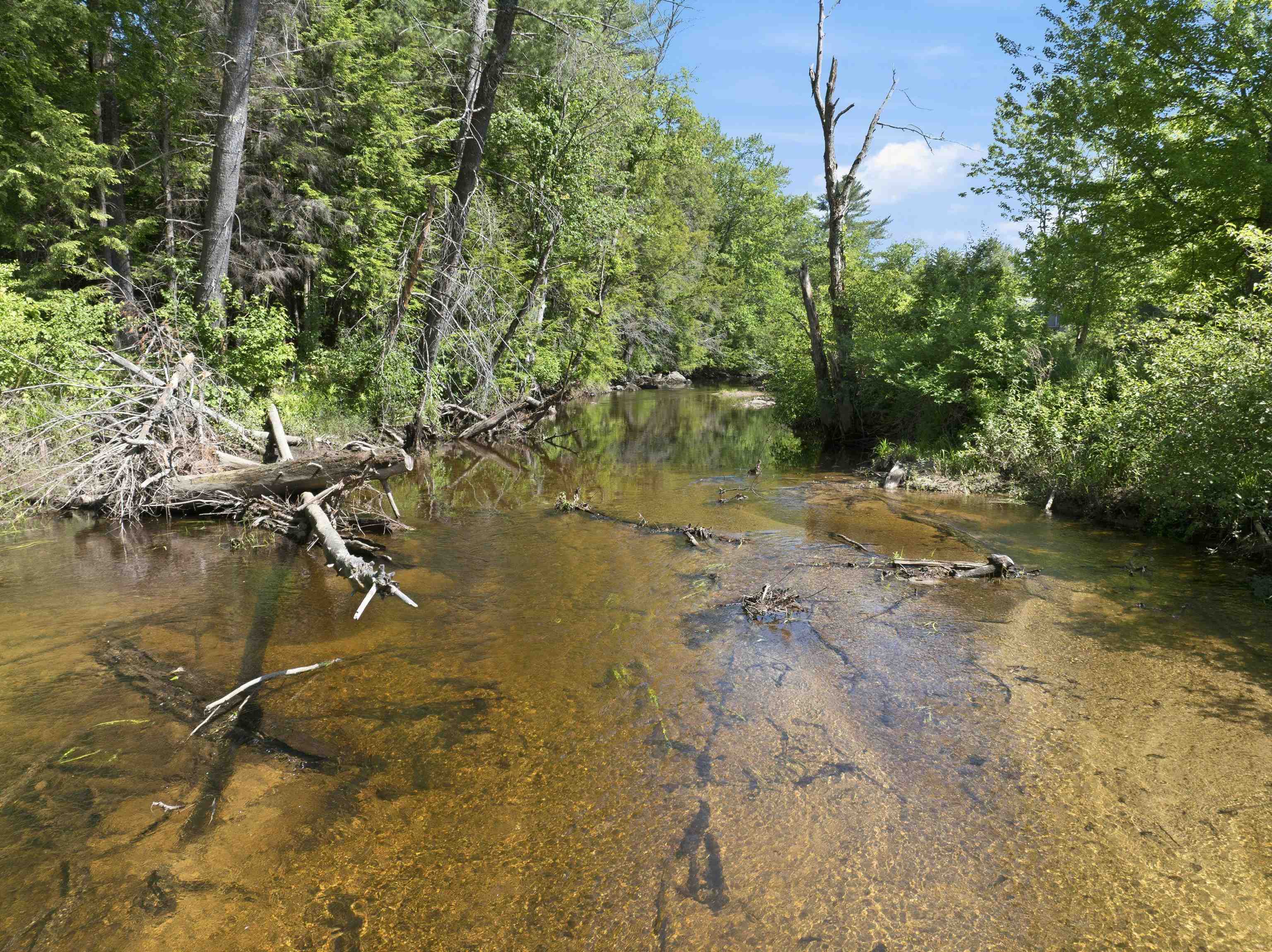 Lot 8 Stonebridge Road Wilmot, NH 03287 - Photo 21 of 31