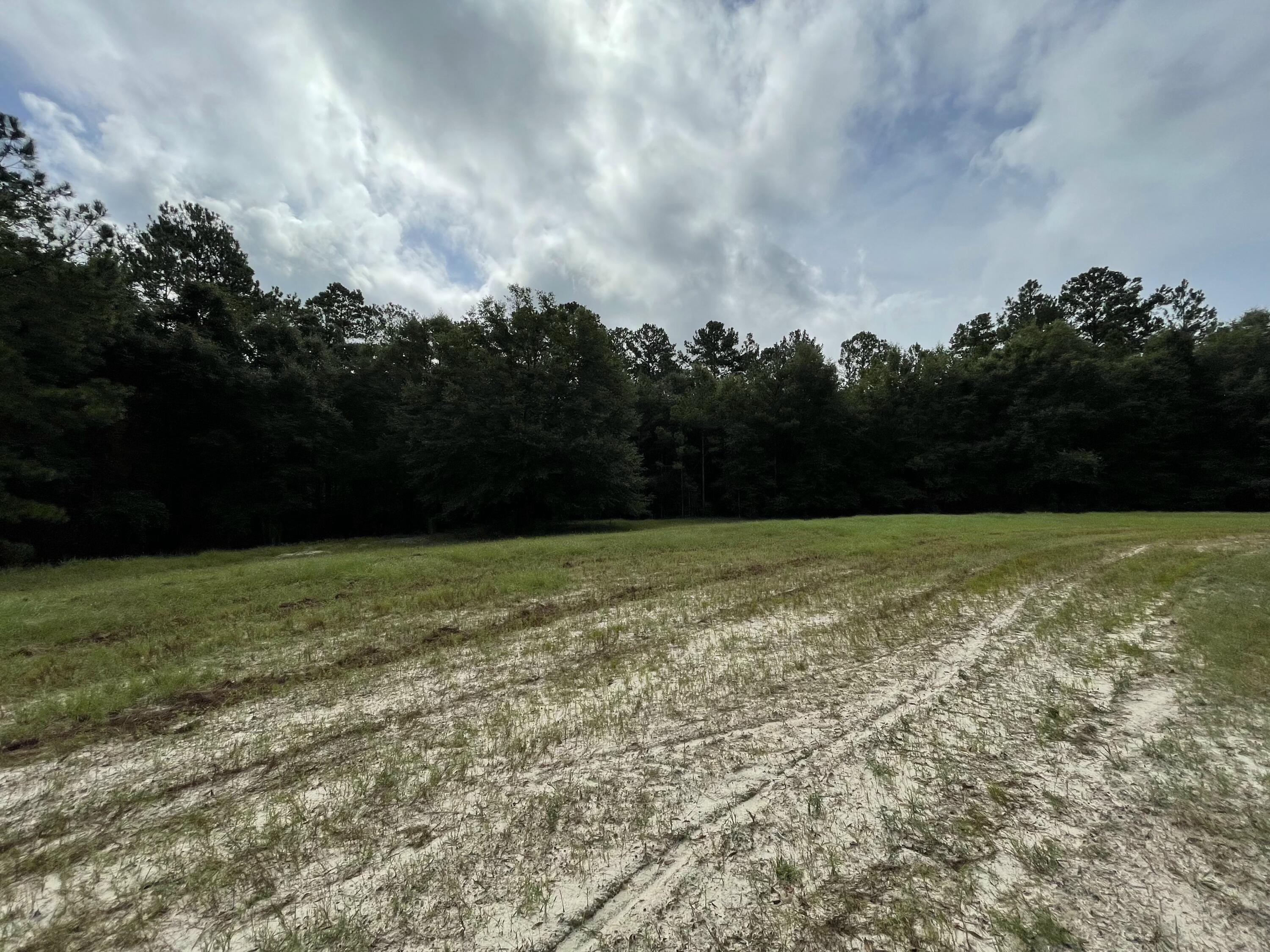 8215 Creston Barrow Road Baker, FL 32531 - Photo 23 of 53 a view of outdoor space and yard