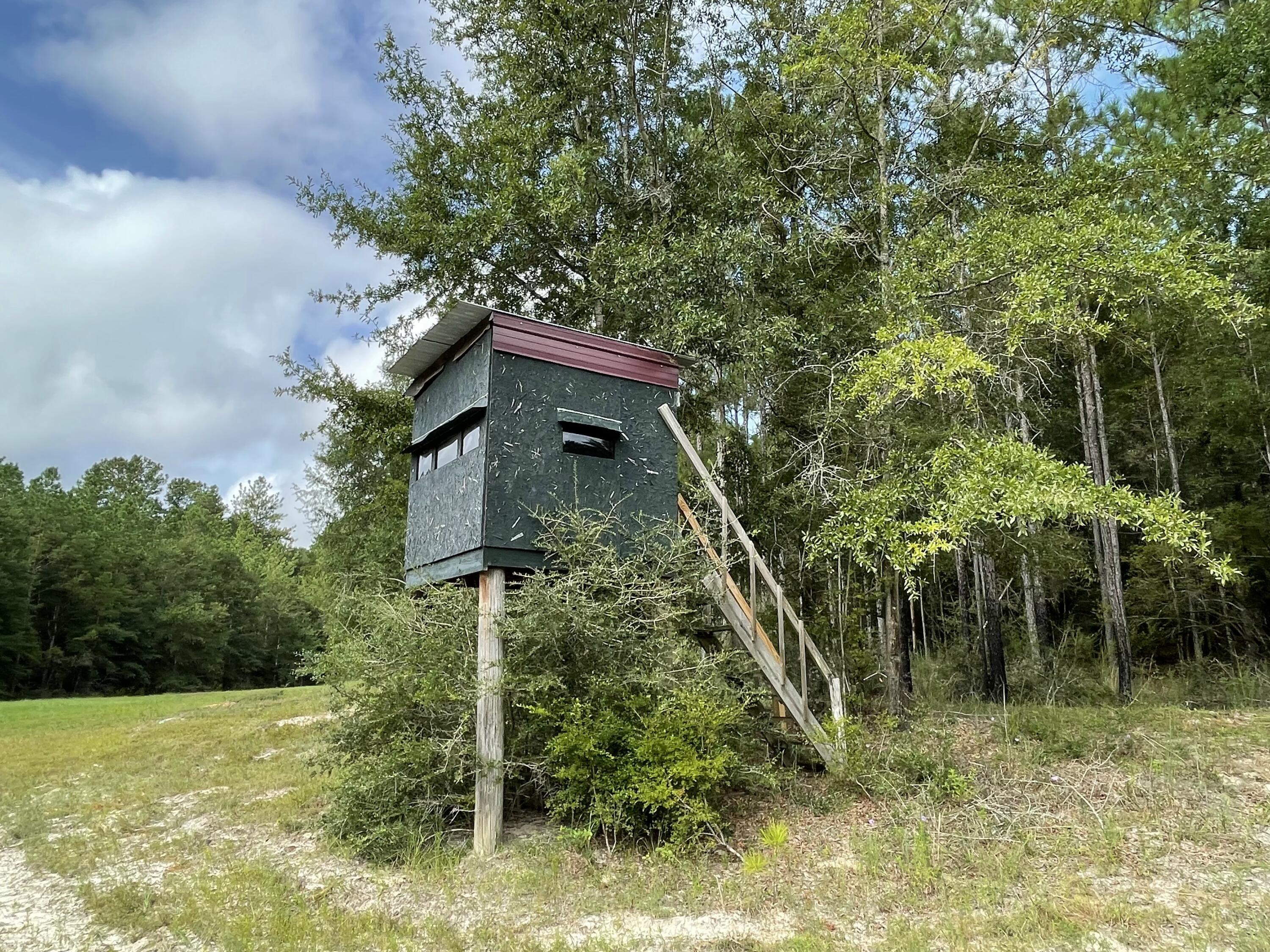 8215 Creston Barrow Road Baker, FL 32531 - Photo 4 of 53 a house is sitting in middle of forest