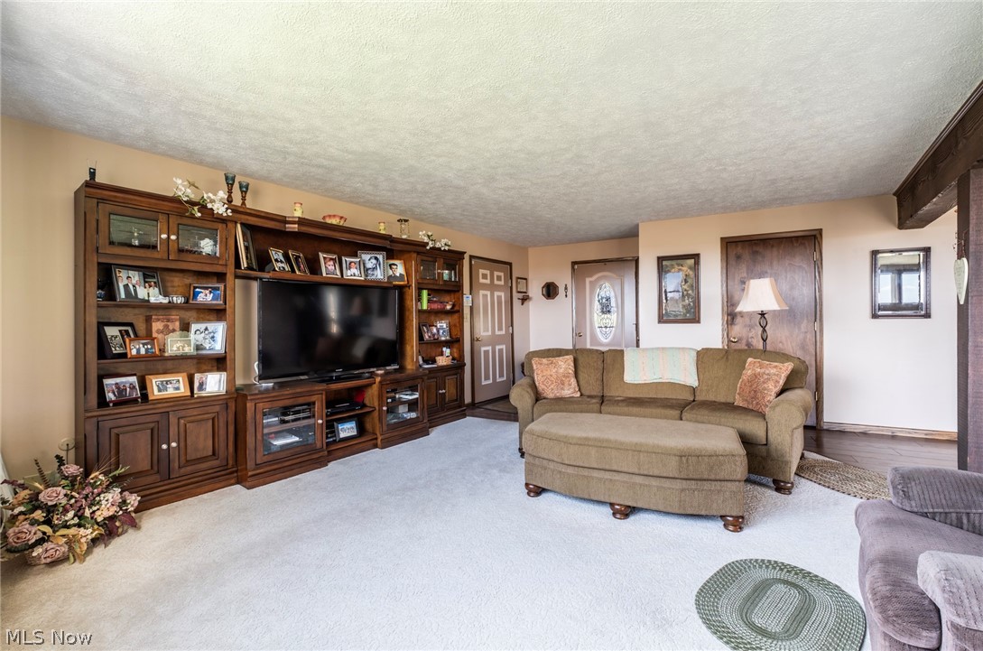 38894 Mattix Road Lisbon, OH 44432 - Photo 6 of 47