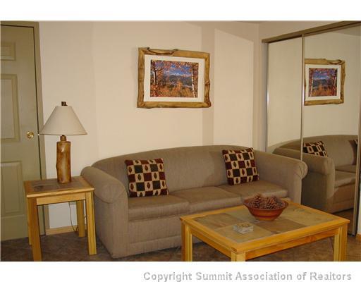650 4 O Clock Road, Unit 6 Breckenridge, CO 80424 - Photo 2 of 12 Gallery Image 2