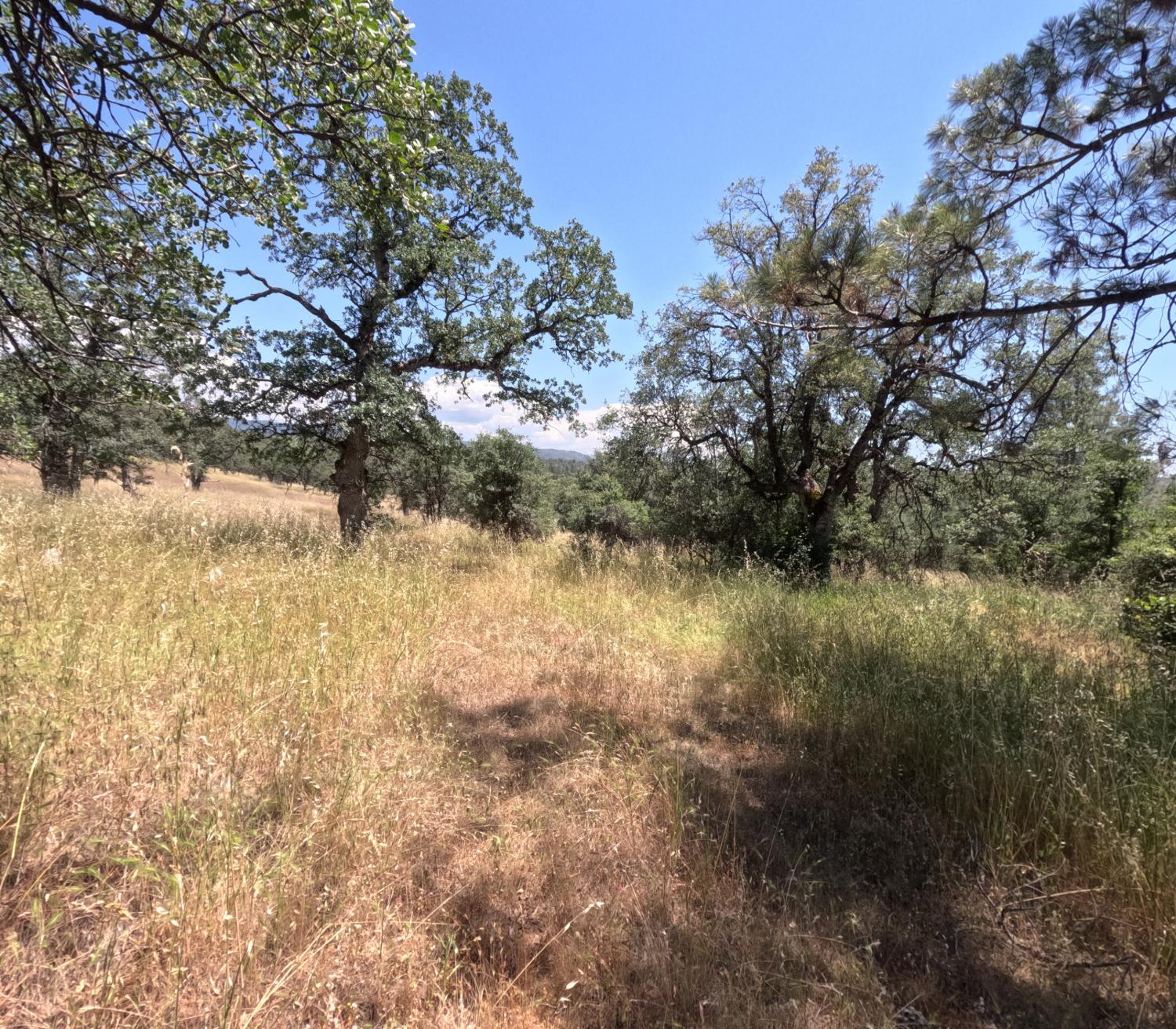 0 Hazen Road Manton, CA 96059 - Photo 6 of 11