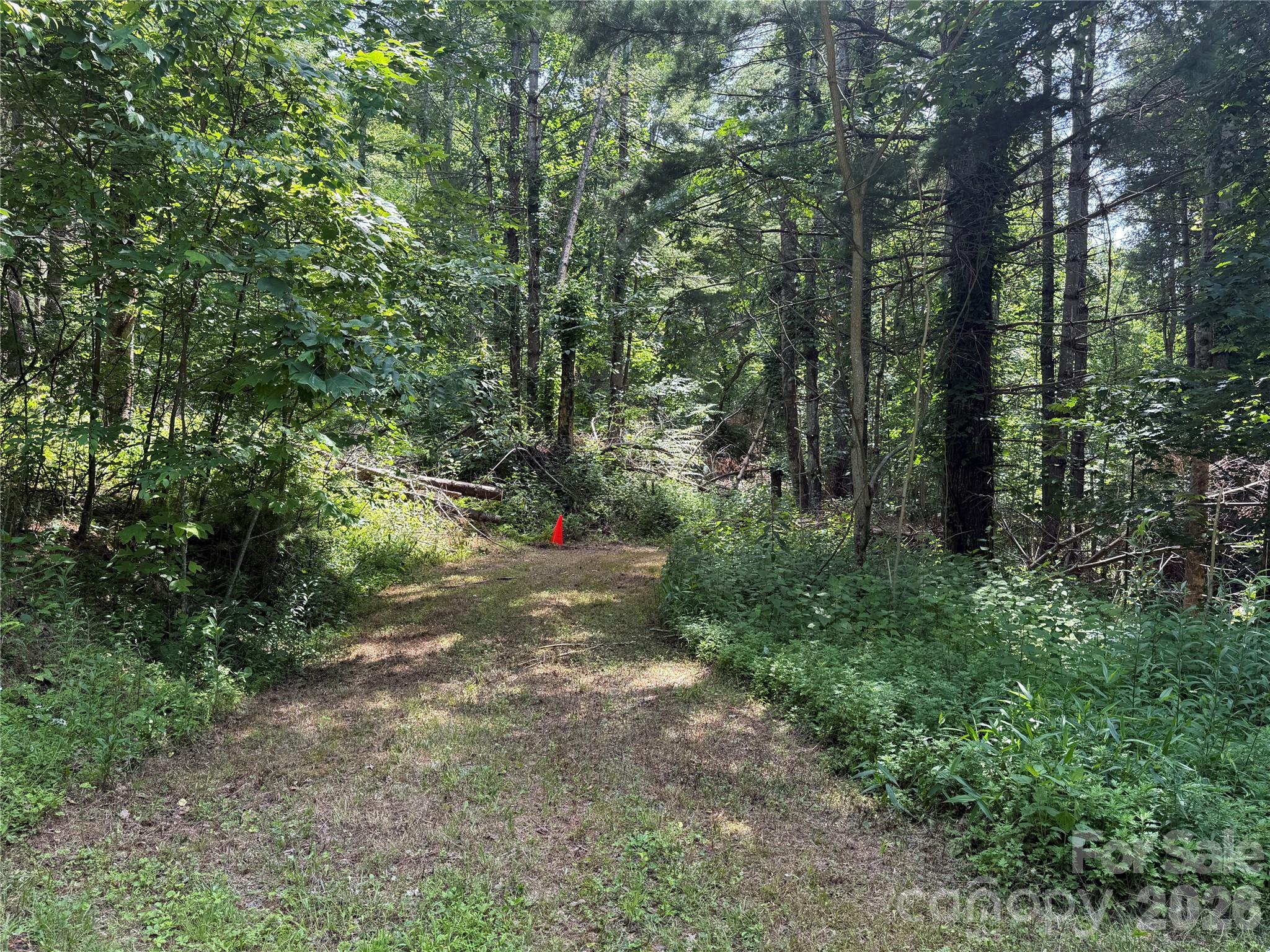0 Apple Farm Road Bakersville, NC 28705 - Photo 12 of 28