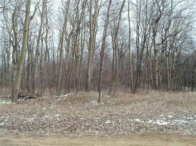 3401 Hanes Road Vassar, MI 48768 - Photo 10 of 11 20222298-9.JPG