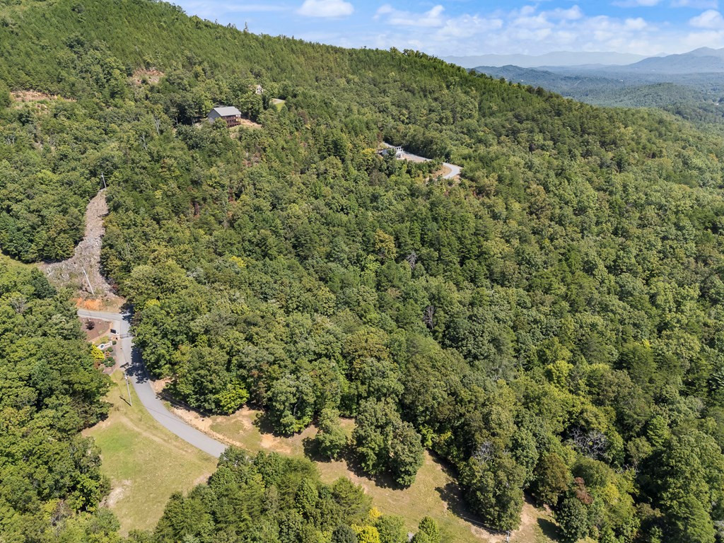 6.36 Bergan Moore Road Murphy, NC 28906 - Photo 8 of 24
