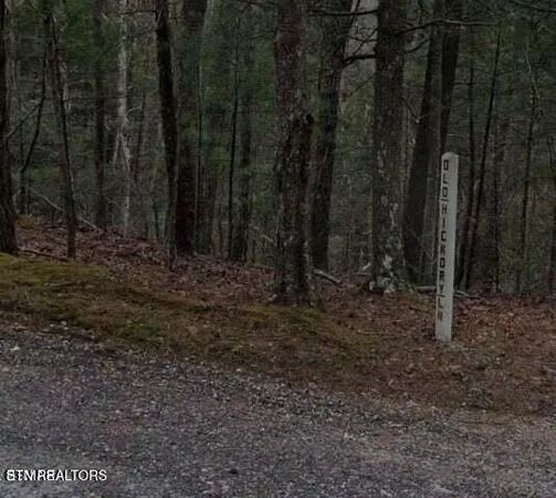 $44,999 | 0 Old Hickory Lane, Tellico Plains, TN 37385