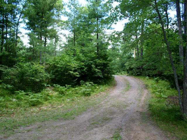 5251 Dam Lake Road Eagle River, WI 54521 - Photo 19 of 20 Gallery Image 19