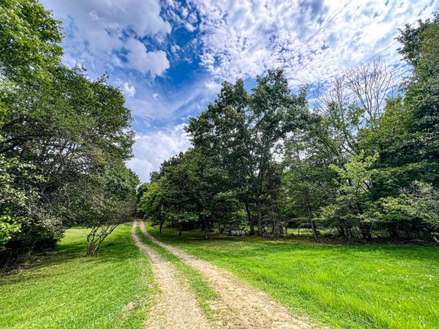 915 Elk Road Warren, PA 16365 - Photo 4 of 20 Gallery Image 4