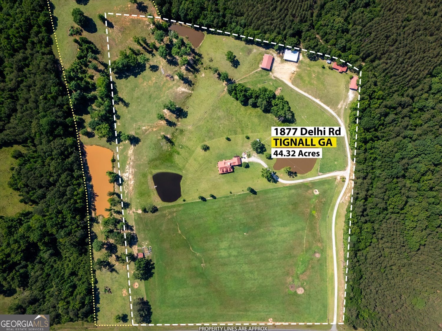 1877 Delhi Road Tignall, GA 30668 - Photo 65 of 68