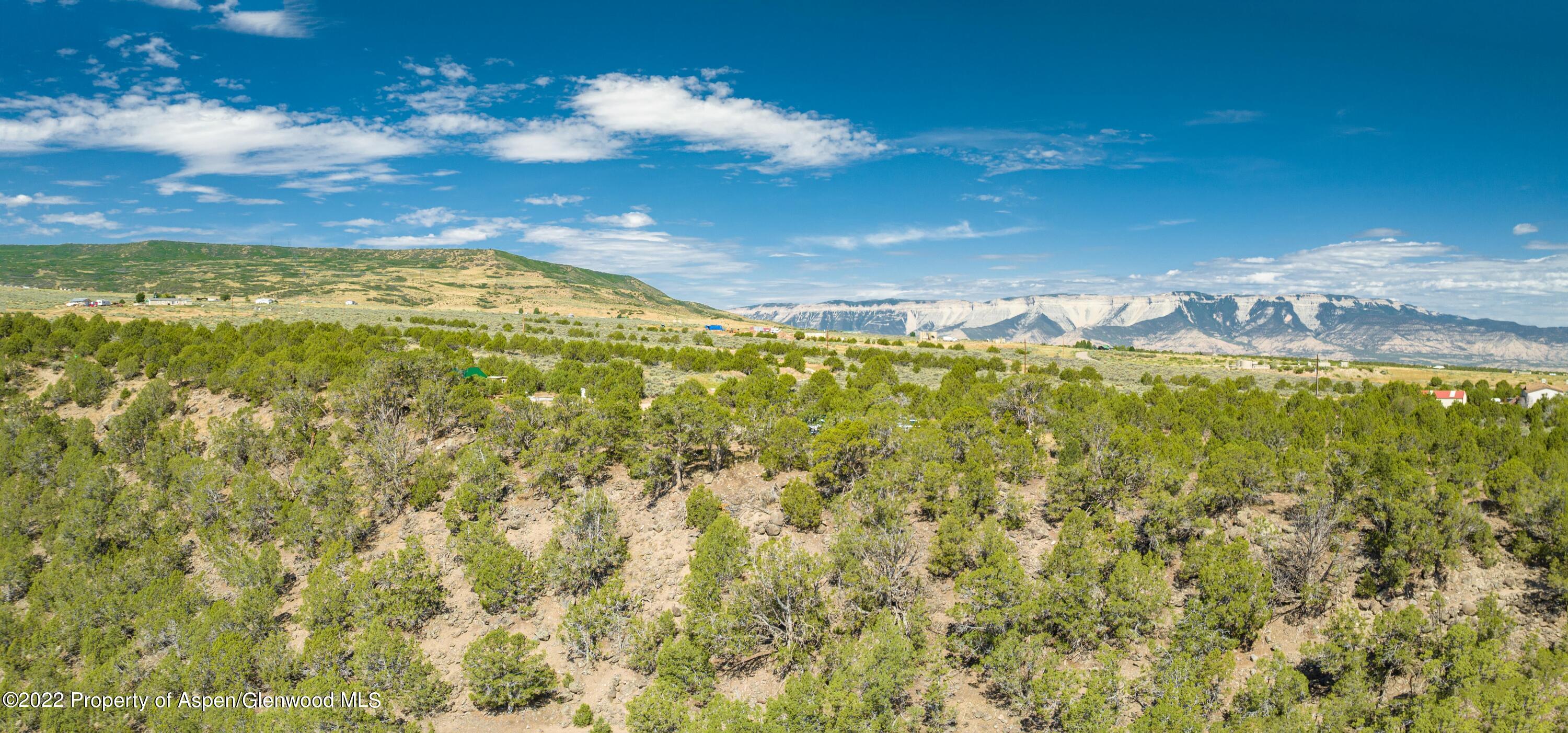 Tbd Rodeo Drive Rifle, CO 81650 - Photo 10 of 14 10