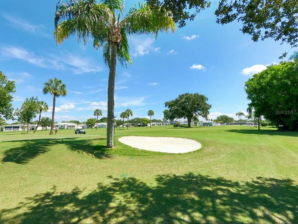 1100 South Belcher Road, Unit 271 Largo, FL 33771 - Photo 57 of 71 Gallery Image 57