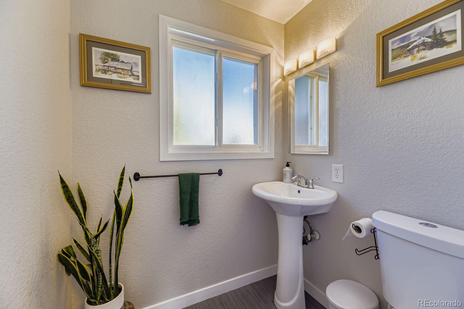 7161 South Franklin Street Centennial, CO 80122 - Photo 13 of 28 a bathroom with a sink mirror and toilet