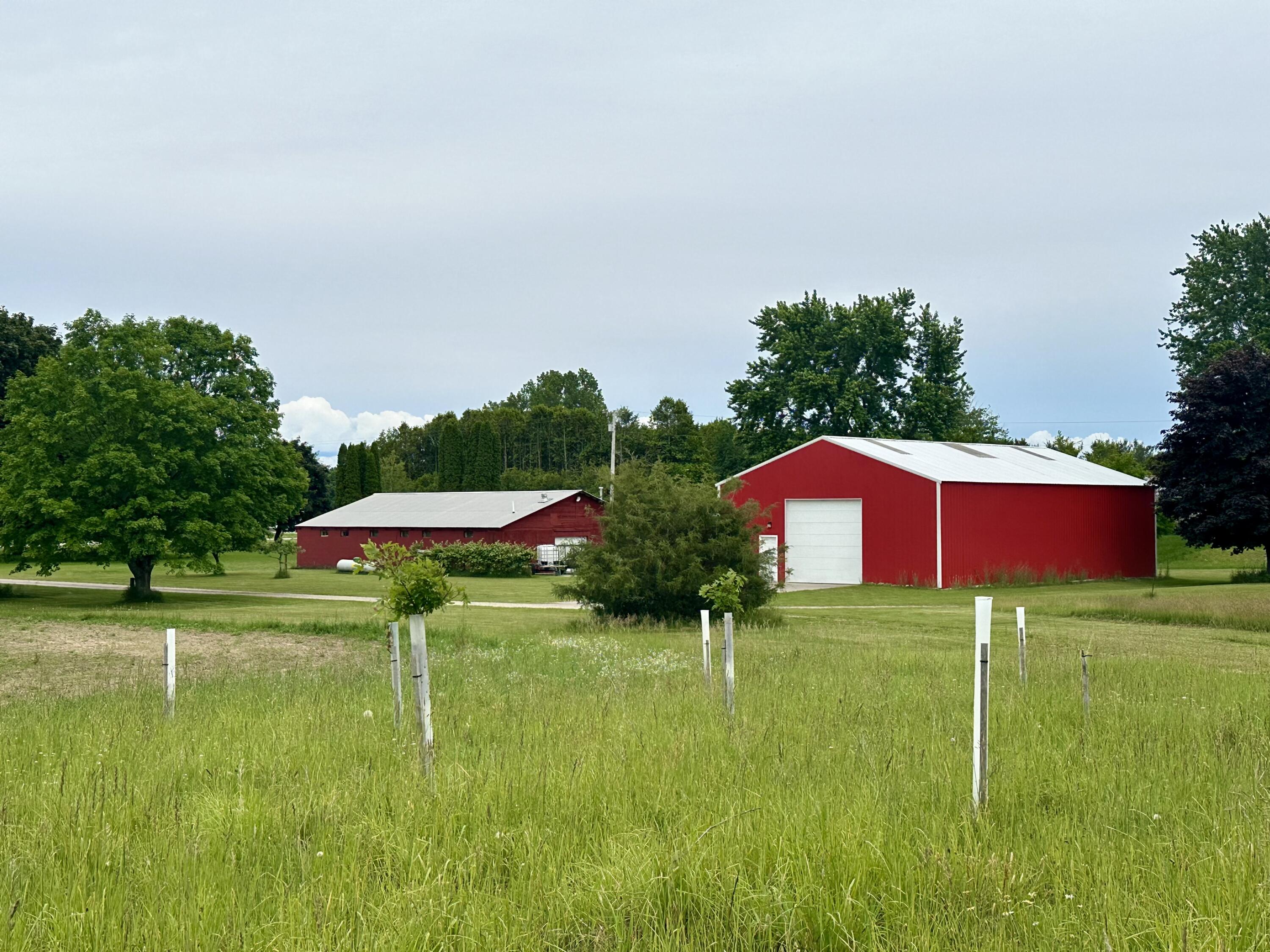 5372 Milarch Road Manistee, MI 49660 - Photo 32 of 41 IMG_8793