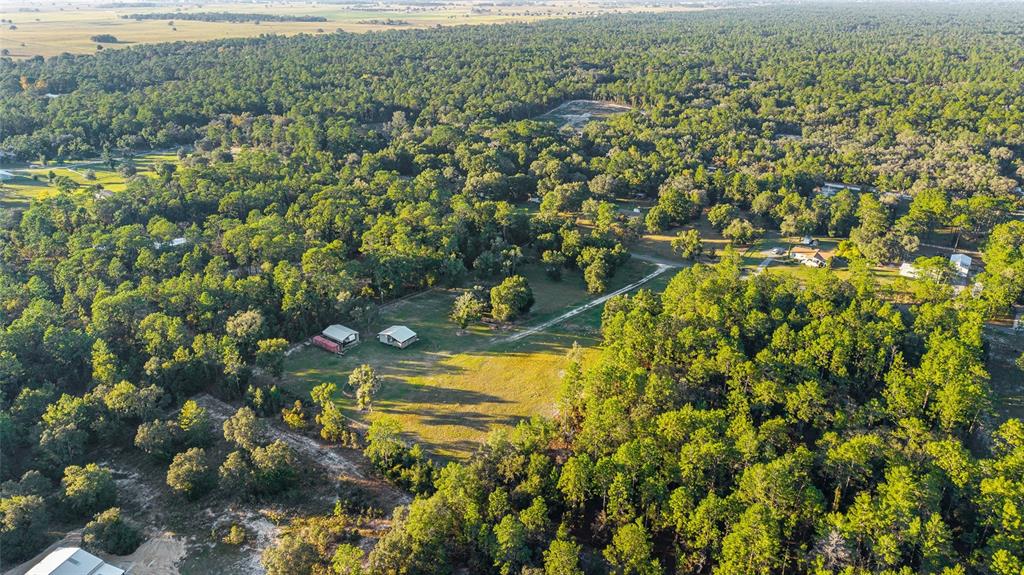 13200 Southwest 95th Street Dunnellon, FL 34432 - Photo 20 of 23 a view of a lake with a tree