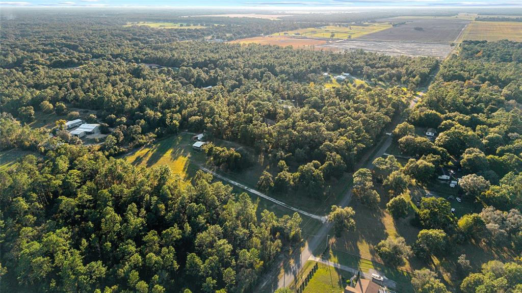 13200 Southwest 95th Street Dunnellon, FL 34432 - Photo 21 of 23 view of city and green space