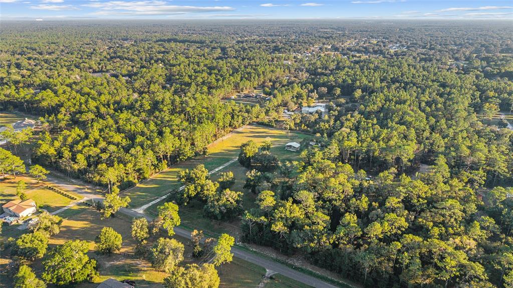 13200 Southwest 95th Street Dunnellon, FL 34432 - Photo 22 of 23 a view of a yard with a tree
