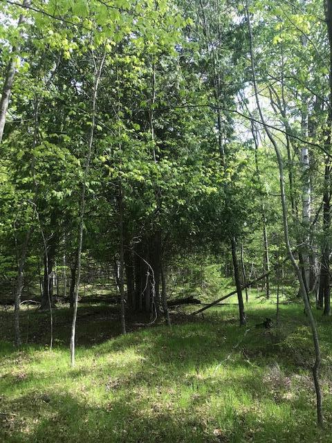 Lot 2 West Meadow Road Fish Creek, WI 54212 - Photo 20 of 40