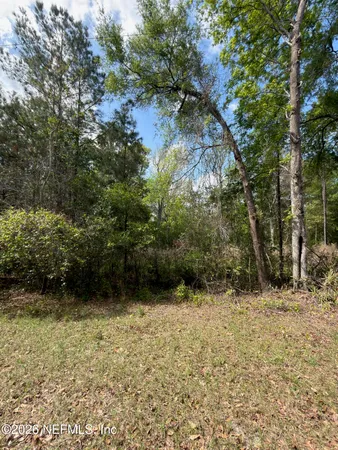 a backyard of a house with lots of green space
