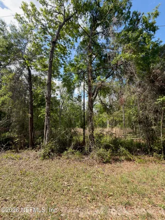 $75,000 | 4501 Tarragon Avenue, Middleburg, FL 32068