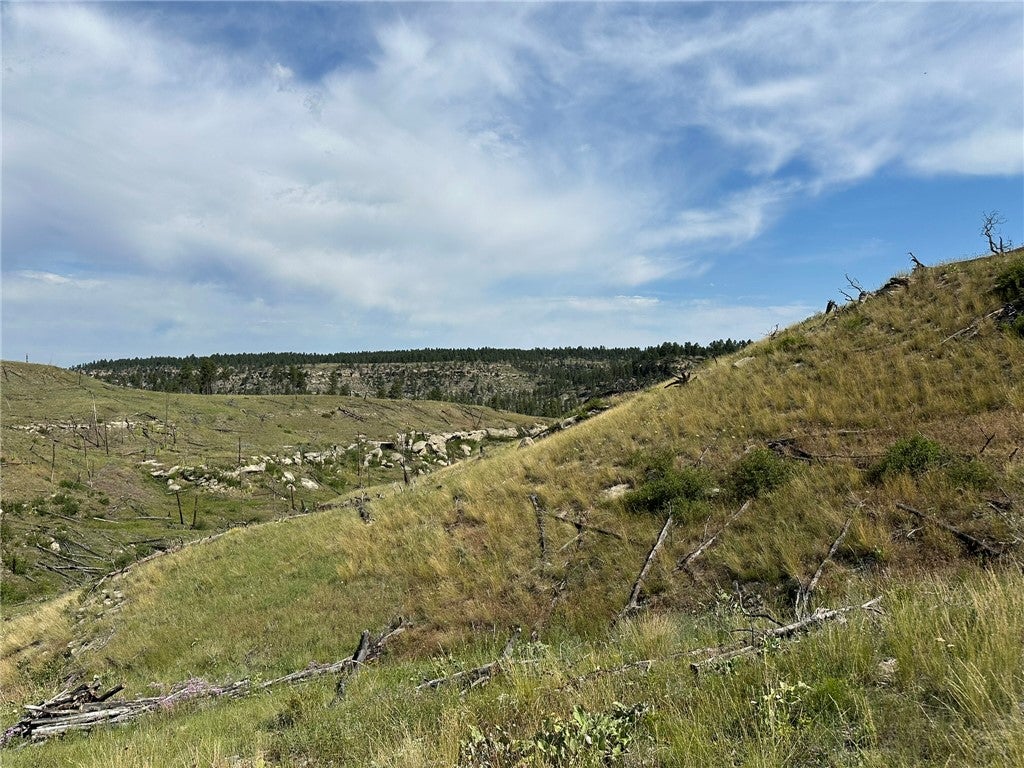 118 Buckskin Road Roundup, MT 59072 - Photo 14 of 18 Gallery Image 14
