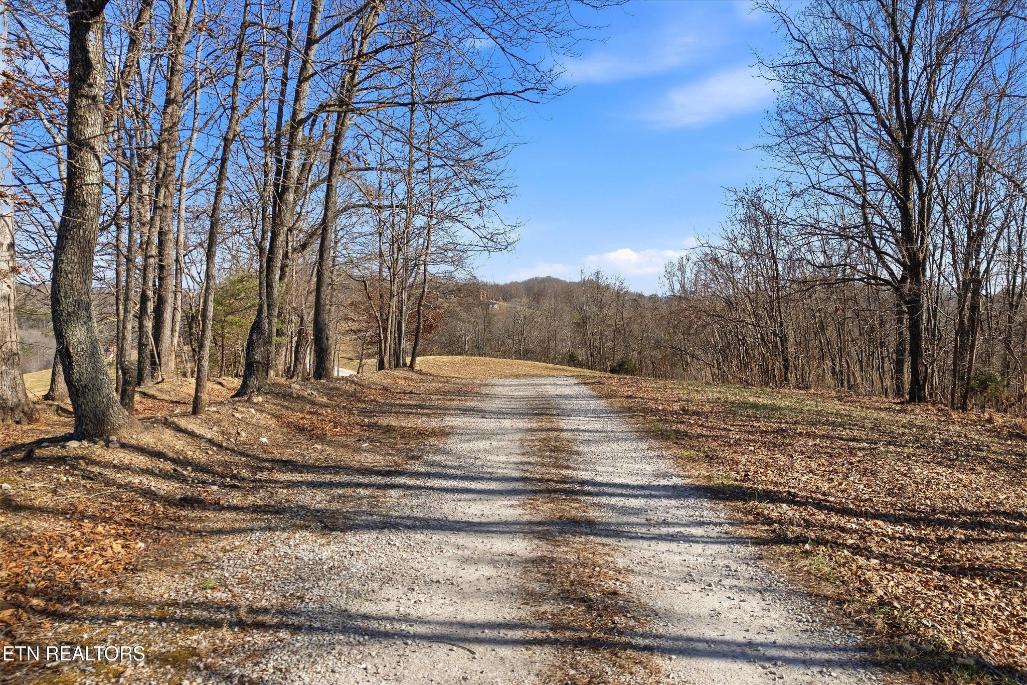 0 Sugar Hollow Road La Follette, TN 37766 - Photo 17 of 21 a view of empty room with trees