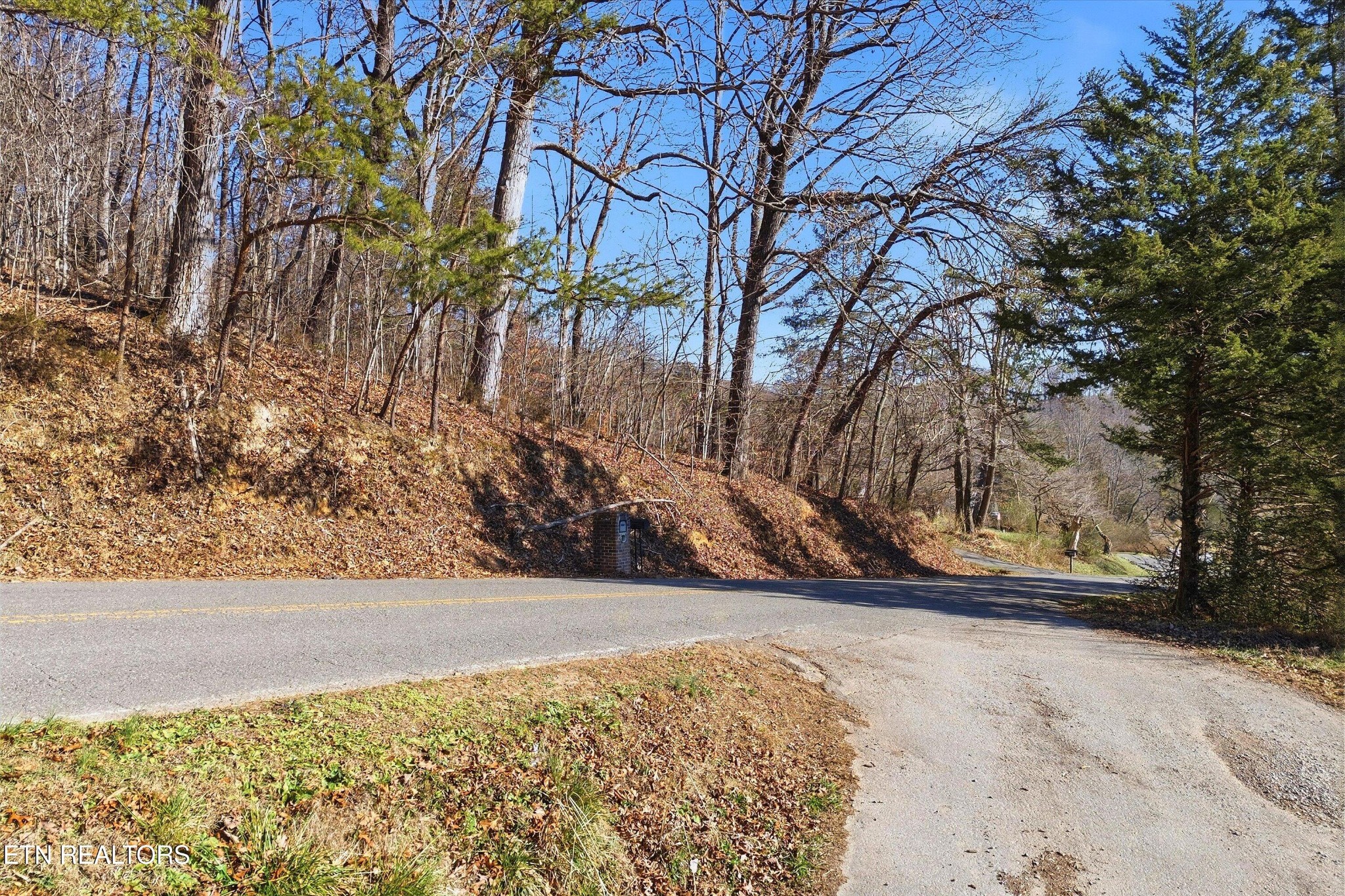 0 Sugar Hollow Road La Follette, TN 37766 - Photo 21 of 21 a view of yard with large trees