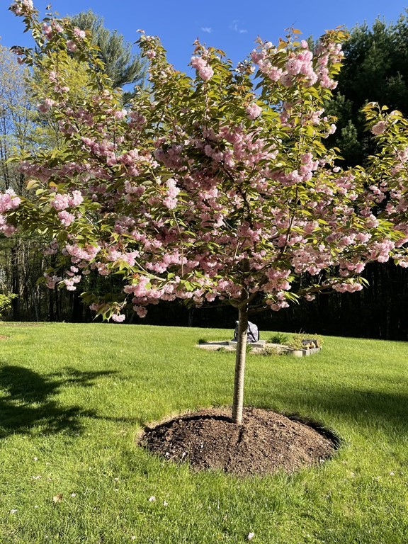 85 R Acton Road Westford, MA 01886 - Photo 40 of 42 Gallery Image 40
