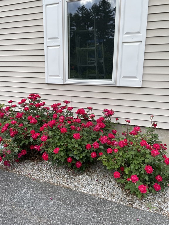 85 R Acton Road Westford, MA 01886 - Photo 42 of 42 Gallery Image 42