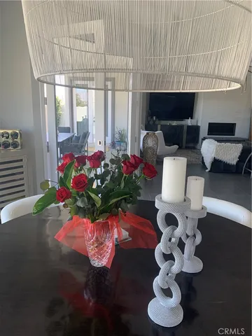 a living room with furniture flowerpot and a rug