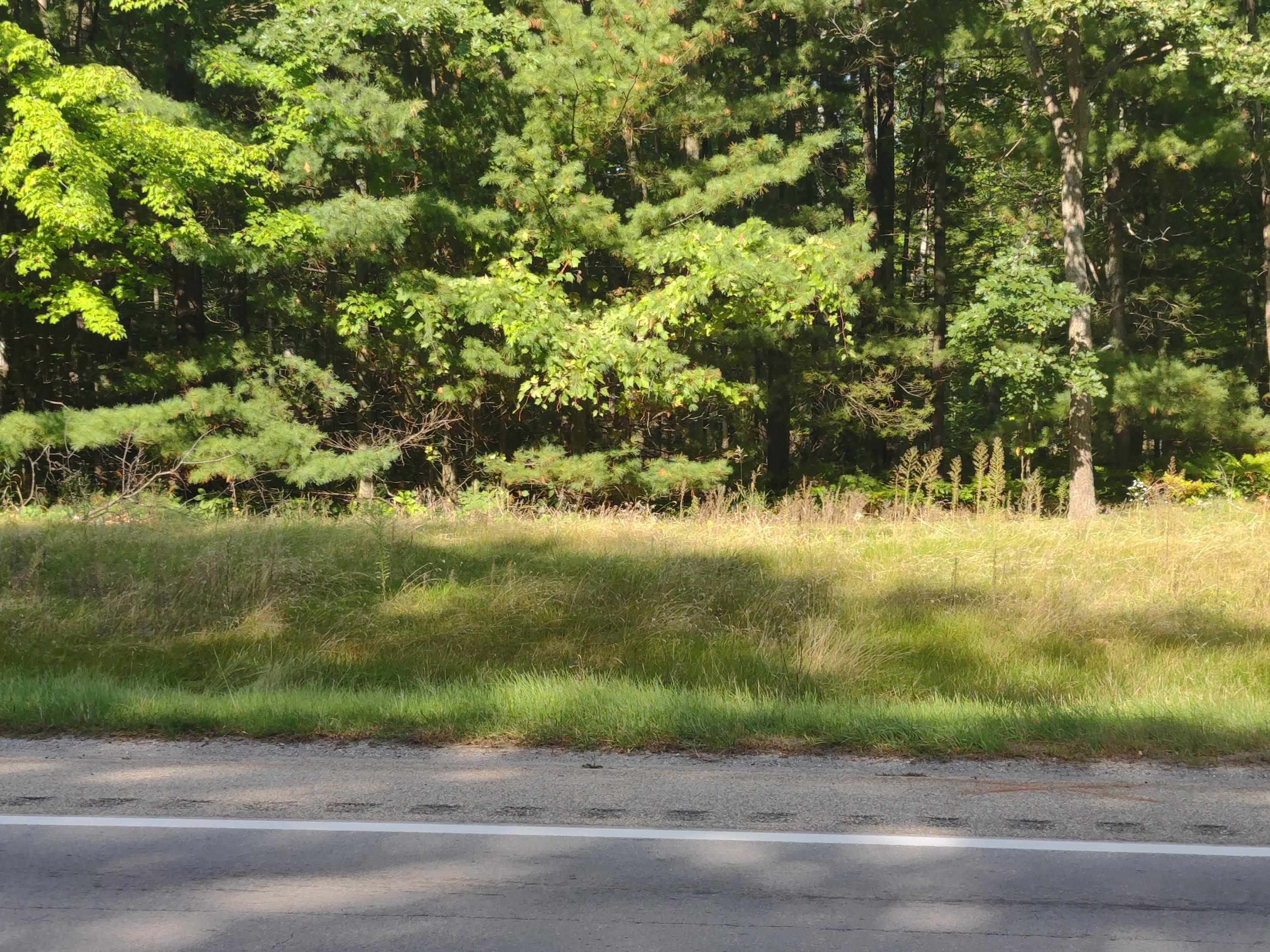N/a South Huron Road Au Gres, MI 48703 - Photo 4 of 10