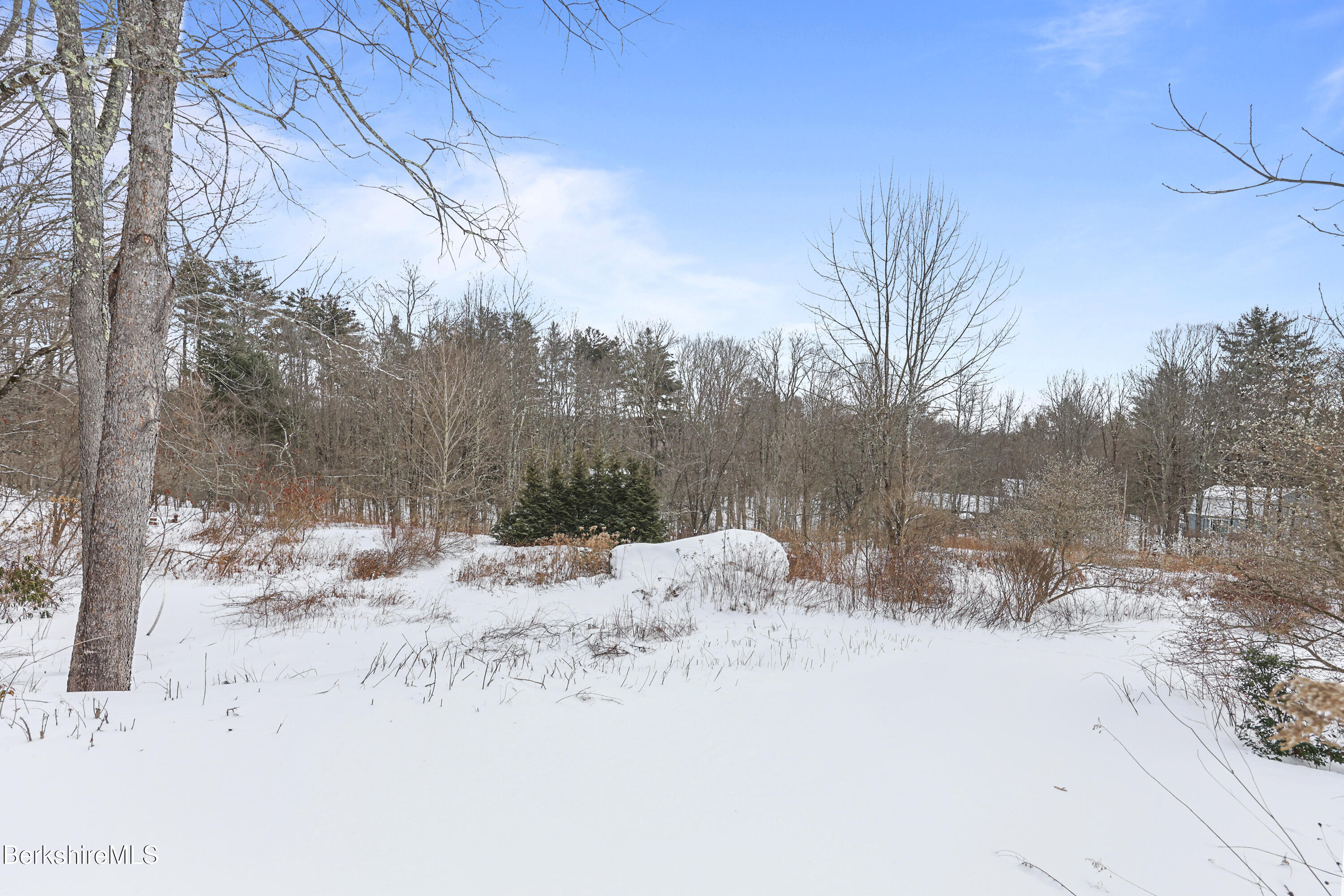 161 Otis Road Becket, MA 01223 - Photo 51 of 58 Back Yard