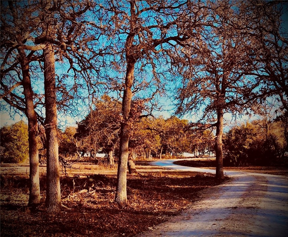 0 Himmel Road Fredericksburg, TX 78624 - Photo 1 of 1 Driveway goes to seller's property and is the property line for the 3.4 acres.